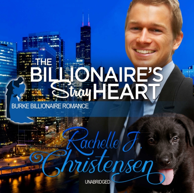 The Billionaire's Stray Heart, eAudiobook MP3 eaudioBook