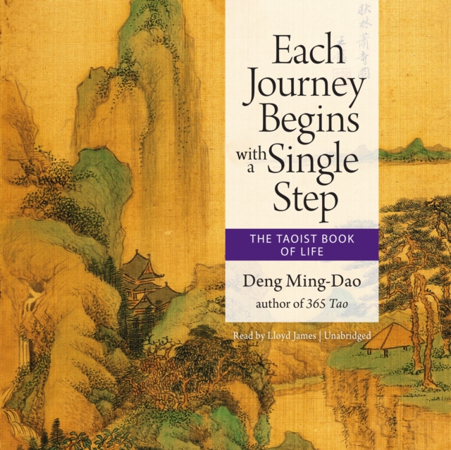 Each Journey Begins with a Single Step, eAudiobook MP3 eaudioBook