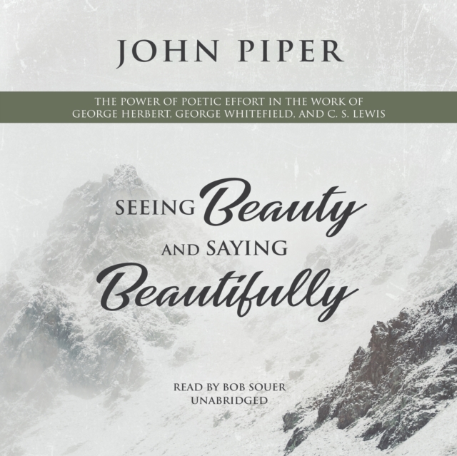 Seeing Beauty and Saying Beautifully, eAudiobook MP3 eaudioBook