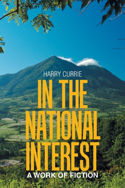 In the National Interest : A Work of Fiction, Paperback / softback Book