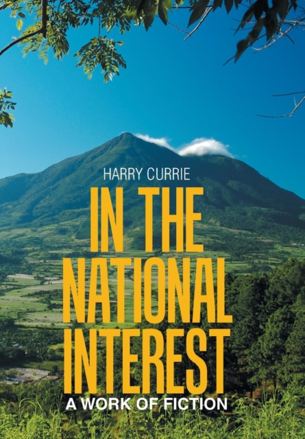 In the National Interest : A Work of Fiction, Hardback Book
