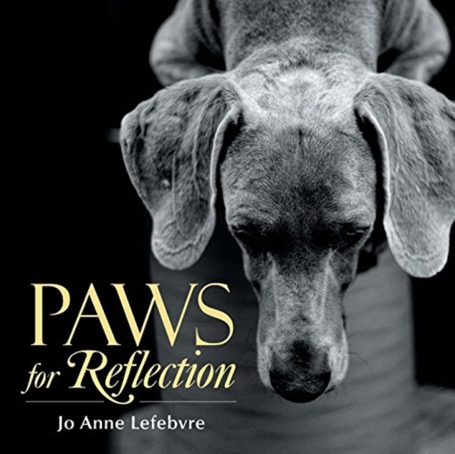 Paws for Reflection, Paperback / softback Book