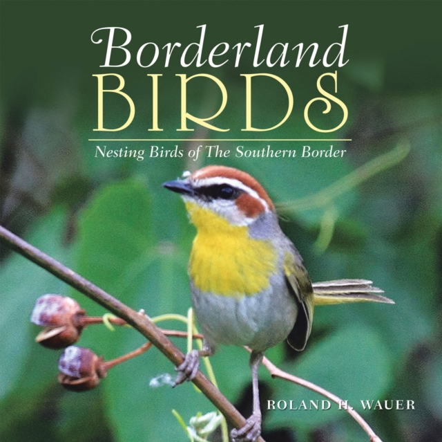 Borderland Birds : Nesting Birds of the Southern Border, EPUB eBook
