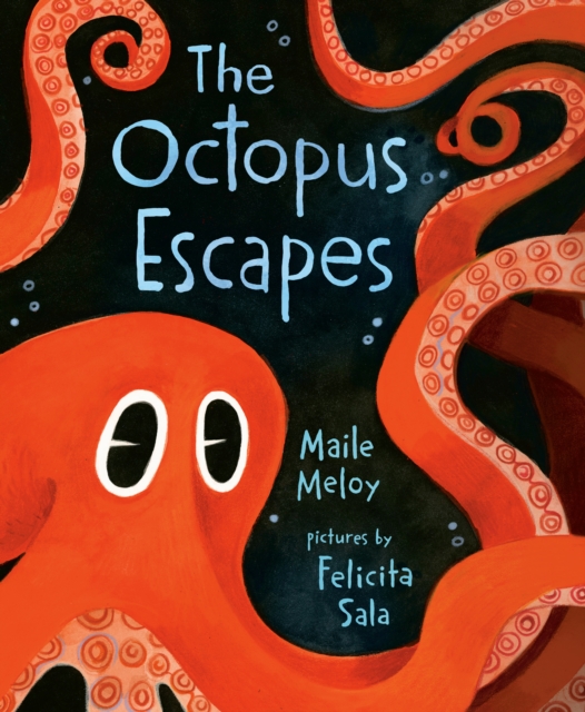 The Octopus Escapes, Hardback Book