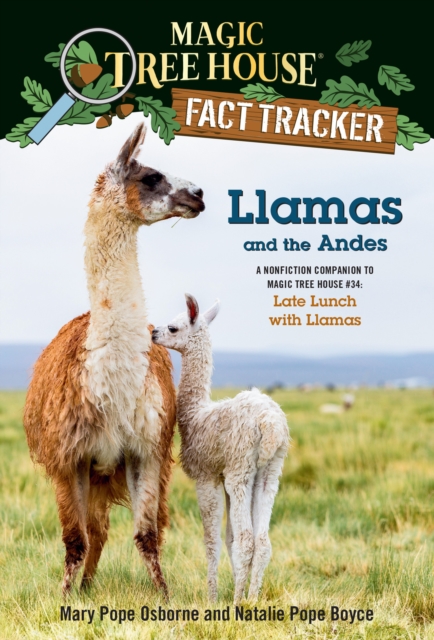 Llamas and the Andes, EPUB eBook