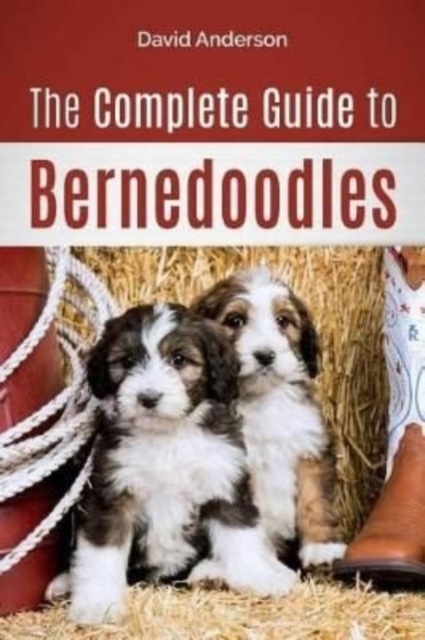 The Complete Guide to Bernedoodles : Everything you need to know to successfully raise your Bernedoodle puppy!, Paperback / softback Book