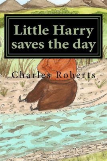 Little Harry saves the day, Paperback / softback Book