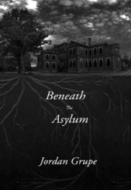 Beneath the Asylum, Hardback Book