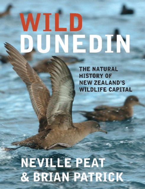 Wild Dunedin : The natural history of New Zealand’s wildlife capital, Paperback / softback Book