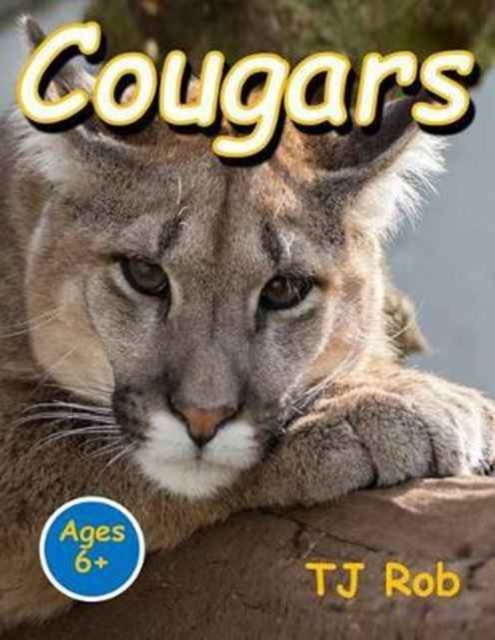 Cougars : (Age 6 and Above), Paperback / softback Book