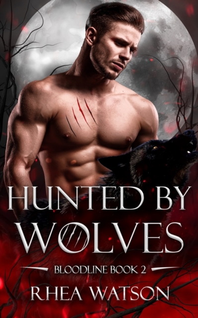 Hunted by Wolves, Paperback / softback Book
