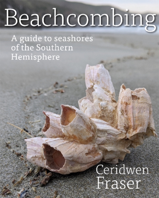 Beachcombing : A guide to seashores of the Southern Hemisphere, Paperback / softback Book