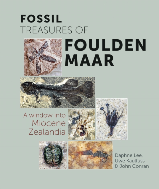 Fossil Treasures of Foulden Maar : A Window into Miocene Zealandia, Paperback / softback Book