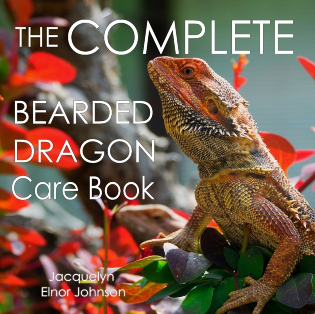 The Complete Bearded Dragon Care Book, Paperback / softback Book
