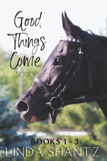 The Good Things Come Series : Books 1-3, Paperback / softback Book