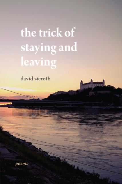 the trick of staying and leaving, Paperback / softback Book
