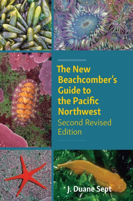 The New Beachcomber's Guide to the Pacific Northwest : Second Revised Edition, Paperback / softback Book