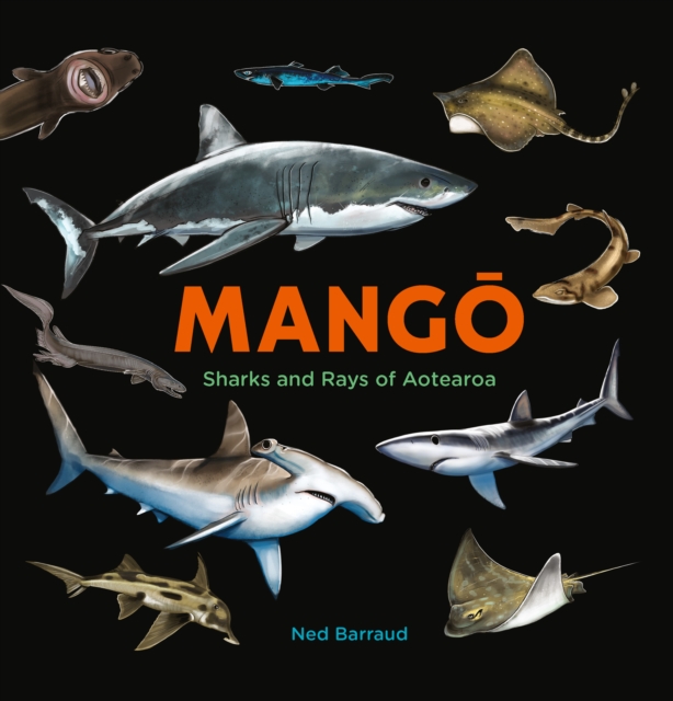 Mango : Sharks and Rays of Aotearoa, Hardback Book
