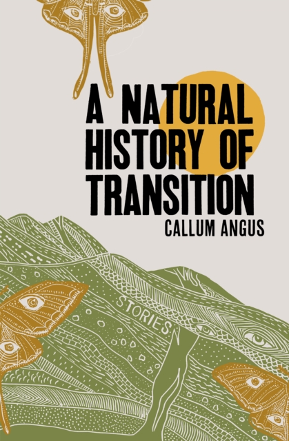 A Natural History Of Transition : Stories, Paperback / softback Book