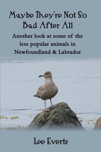 Maybe They're Not So Bad After All - Another look at some of the less popular animals in Newfoundland & Labrador, Paperback / softback Book