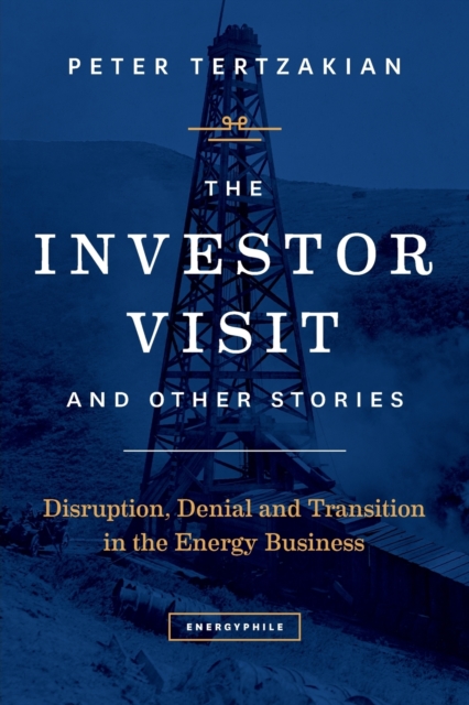 The Investor Visit and Other Stories : Disruption, Denial and Transition in the Energy Business, Paperback / softback Book