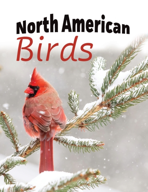 North American Birds, Paperback / softback Book