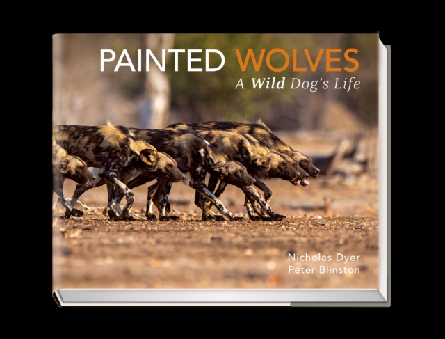 Painted Wolves : A Wild Dog's Life, Hardback Book