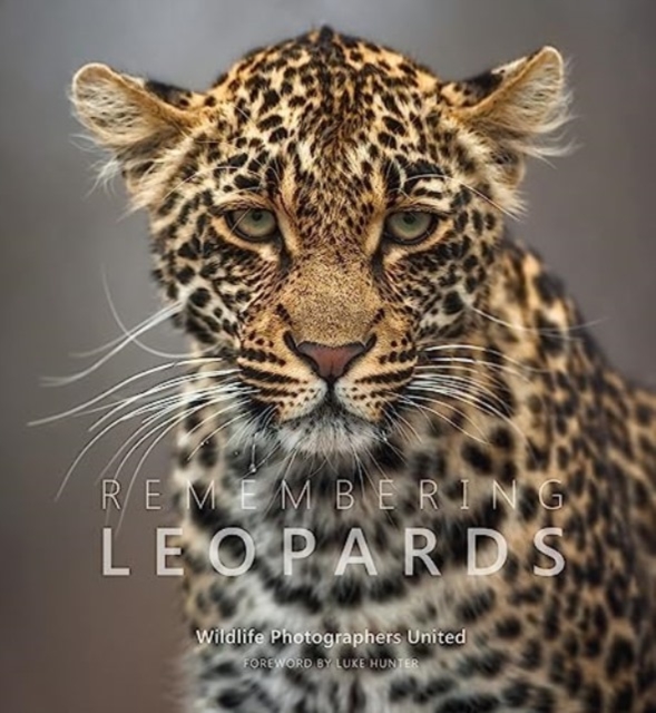 Remembering Leopards, Hardback Book