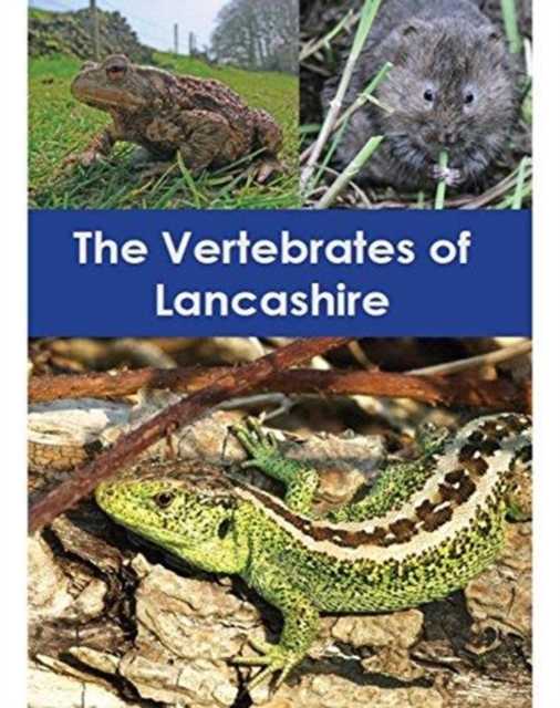 The Vertebrates of Lancashire, Paperback / softback Book