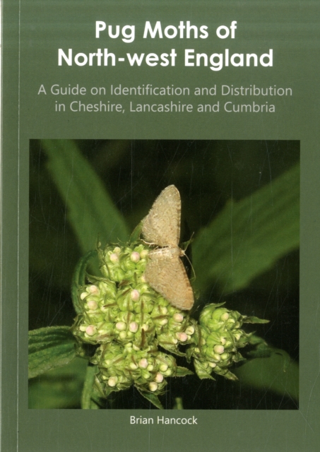 Pug Moths of North-West England : A Guide on Identification and Distribution in Cheshire, Lancashire and Cumbria, Paperback / softback Book