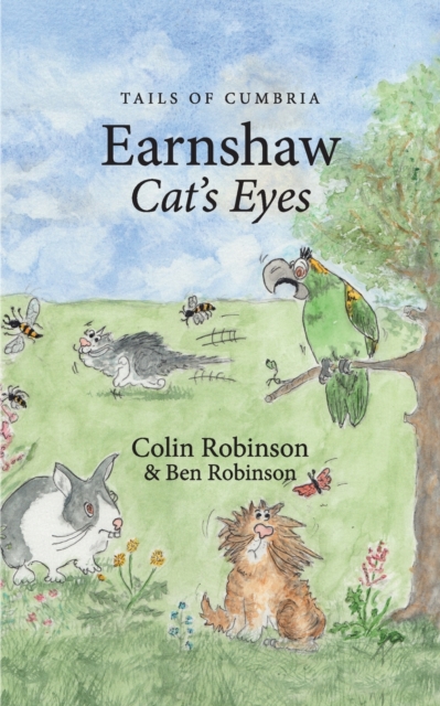 Earnshaw : Cat's Eyes, Paperback / softback Book