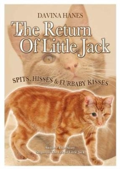The Return of Little Jack, Paperback / softback Book