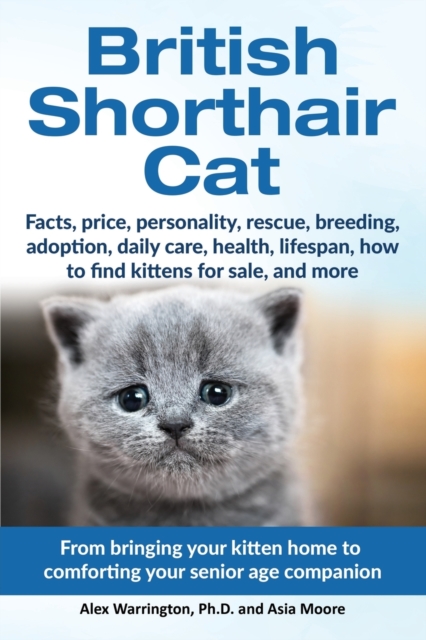British Shorthair Cat : From bringing your kitten home to comforting your senior age beloved companion, Paperback / softback Book