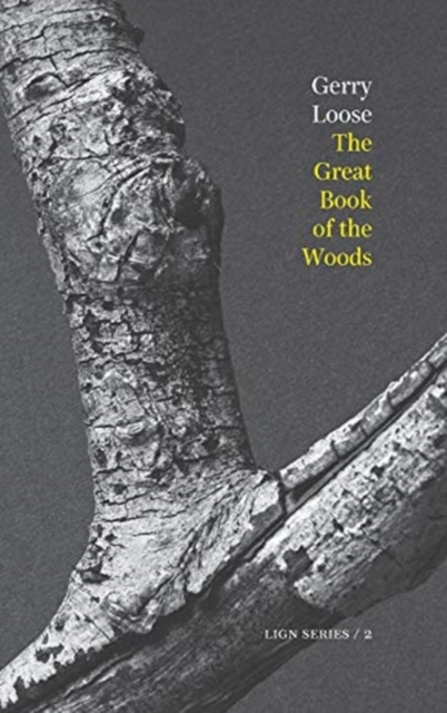 The Great Book of the Woods, Paperback / softback Book