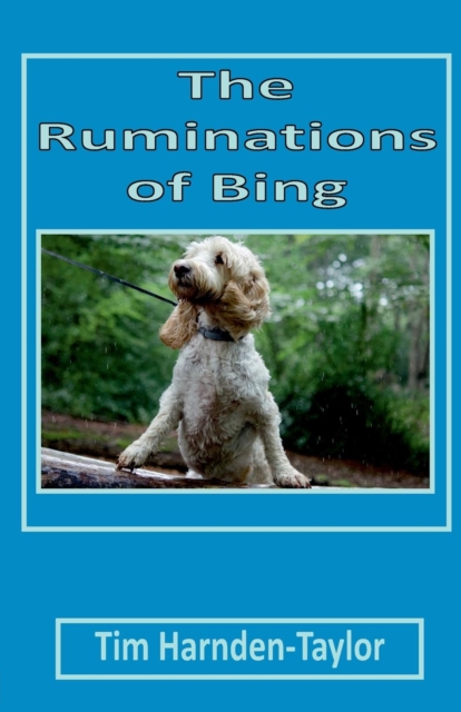 The Ruminations of Bing : Lines From My Forehead, Paperback / softback Book