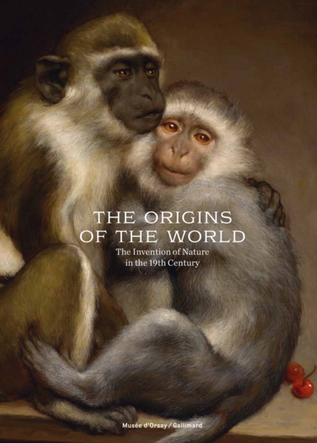 The Origins of the World : Invention of nature at the time of Darwin, Hardback Book