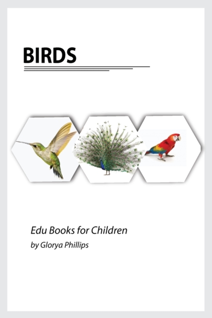 Birds : Montessori real birds book, bits of intelligence for baby and toddler, children's book, learning resources., Paperback / softback Book
