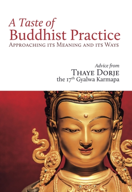 A Taste of Buddhist Practice : Approaching its Meaning and Its Ways, Paperback / softback Book