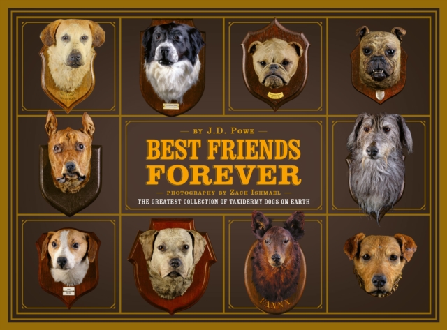 Best Friends Forever: The Greatest Collection of Taxidermy Dogs on Earth, Hardback Book