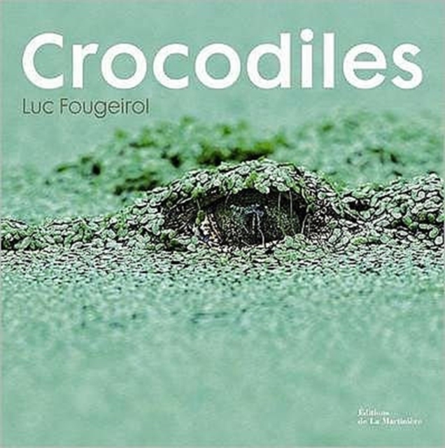 Crocodiles, Hardback Book