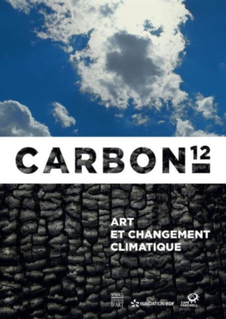 Carbon 12: Art and Climate Change, Paperback / softback Book
