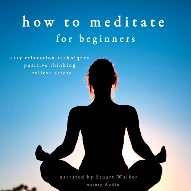 How to Meditate, eAudiobook MP3 eaudioBook