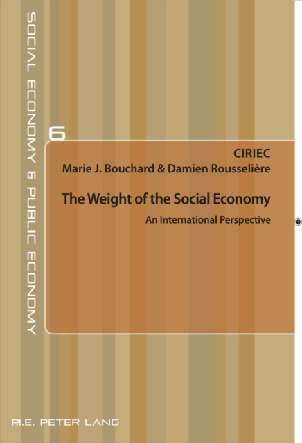 The Weight of the Social Economy : An International Perspective, Paperback / softback Book