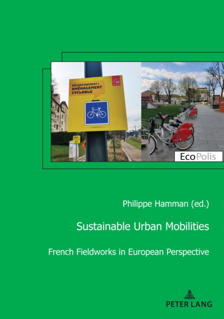 Sustainable Urban Mobilities : French Fieldworks in European Perspective, Paperback / softback Book