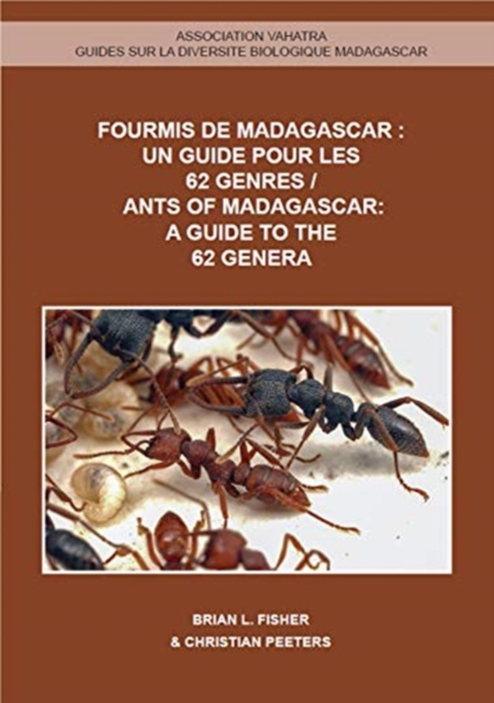 Ants of Madagascar - A Guide to the 62 Genera, Paperback / softback Book