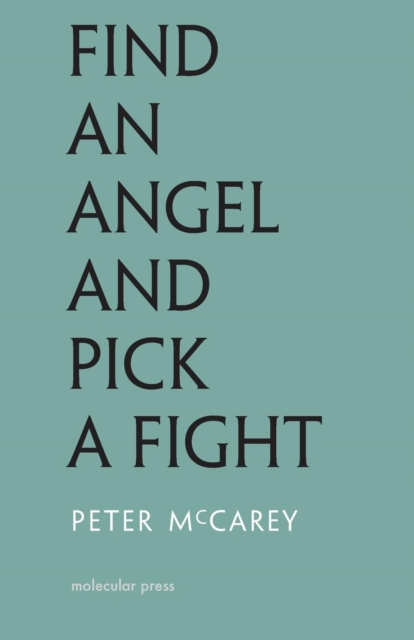 Find an Angel and Pick a Fight, Paperback / softback Book