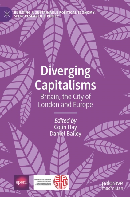 Diverging Capitalisms : Britain, the City of London and Europe, Hardback Book