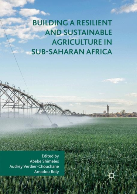 Building a Resilient and Sustainable Agriculture in Sub-Saharan Africa, Paperback / softback Book