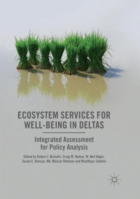 Ecosystem Services for Well-Being in Deltas : Integrated Assessment for Policy Analysis, Paperback / softback Book