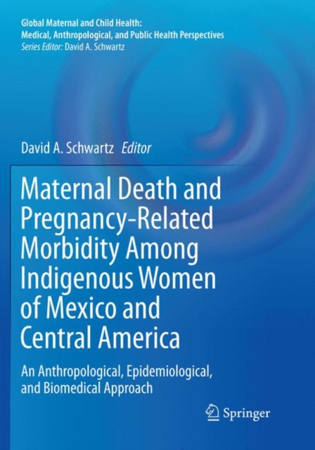 Maternal Death and Pregnancy-Related Morbidity Among Indigenous Women of Mexico and Central America : An Anthropological, Epidemiological, and Biomedical Approach, Paperback / softback Book
